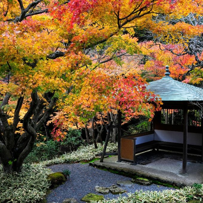 🌸 이치조 에칸 별장(이치조 에칸 산소) 이미지 1